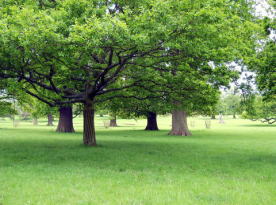 �E�H�o�[���E�A�r�[�iWoburn�EAbby)�̃A���e�B�[�Z���^�[��